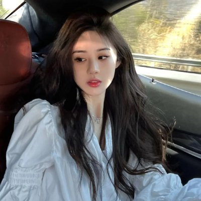 条子骇客